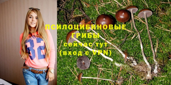 МДМА Арсеньев